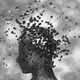 iStock